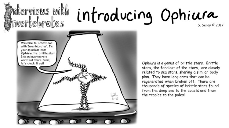 1-introducing ophiura