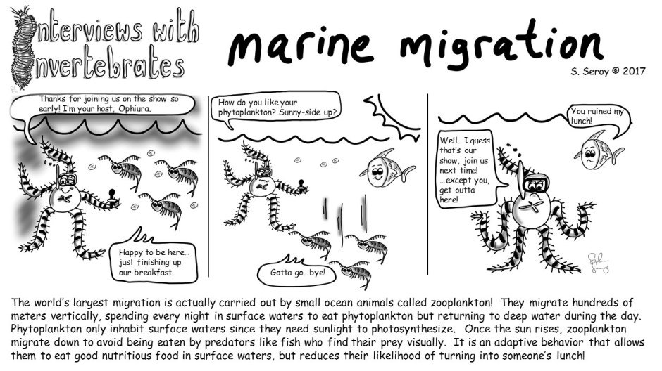 2 - marine migration