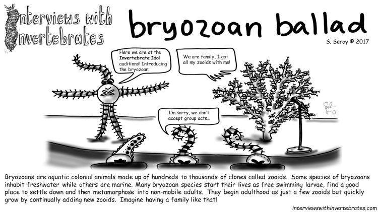 10 - bryozoan ballad
