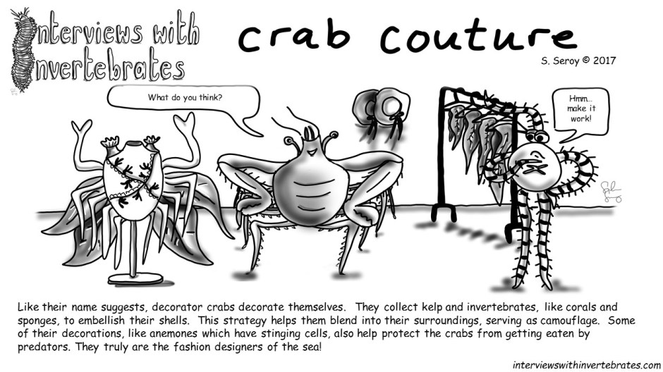 11 - crab couture