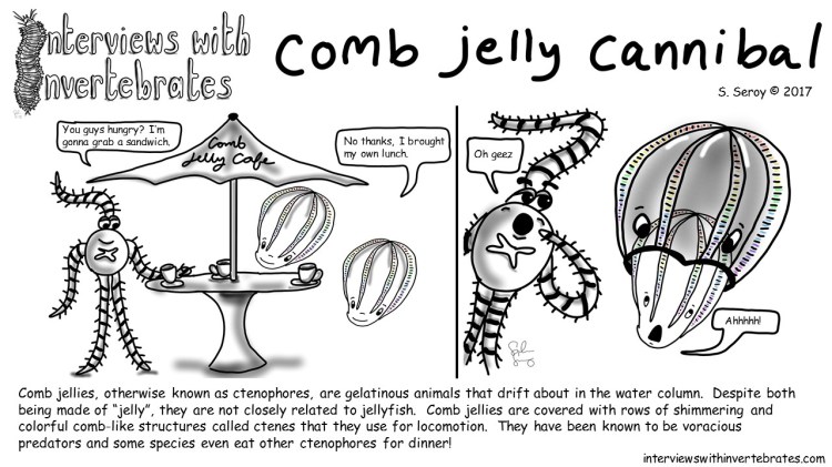 12 - comb jelly cannibal