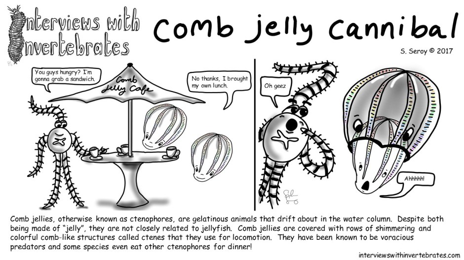 12 - comb jelly cannibal