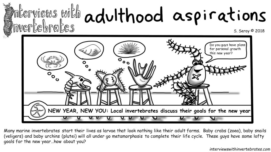adulthood aspirations