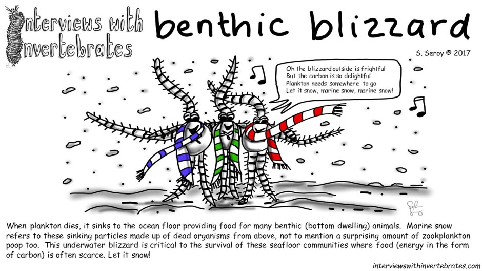 benthic_blizzard