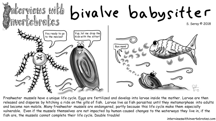 bivalve babysitter
