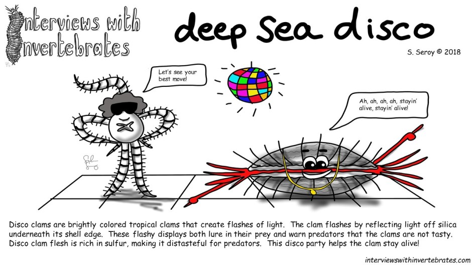 deep sea disco .jpg