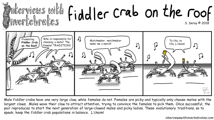 fiddler crab on the roof