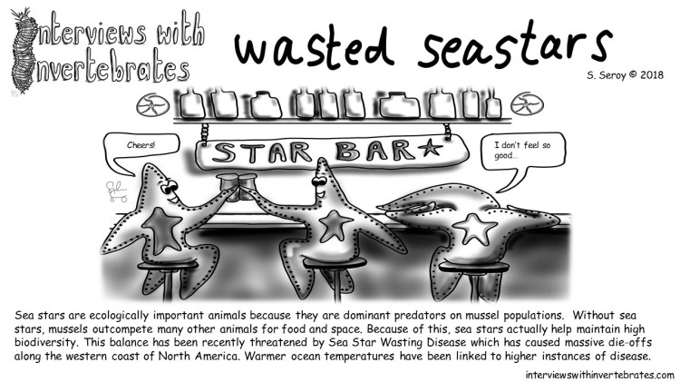 wasted seastars3