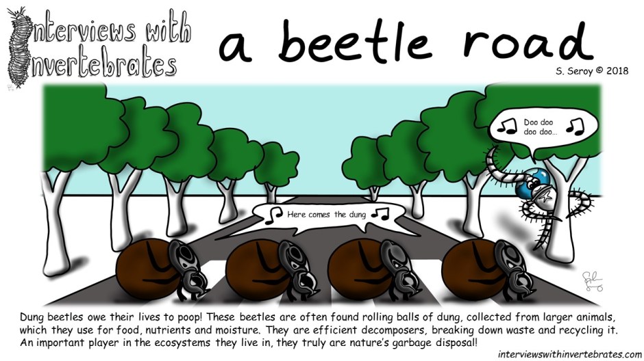 a_beetle_road