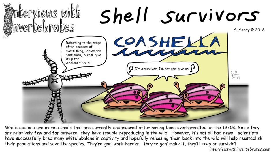 shell_survivors