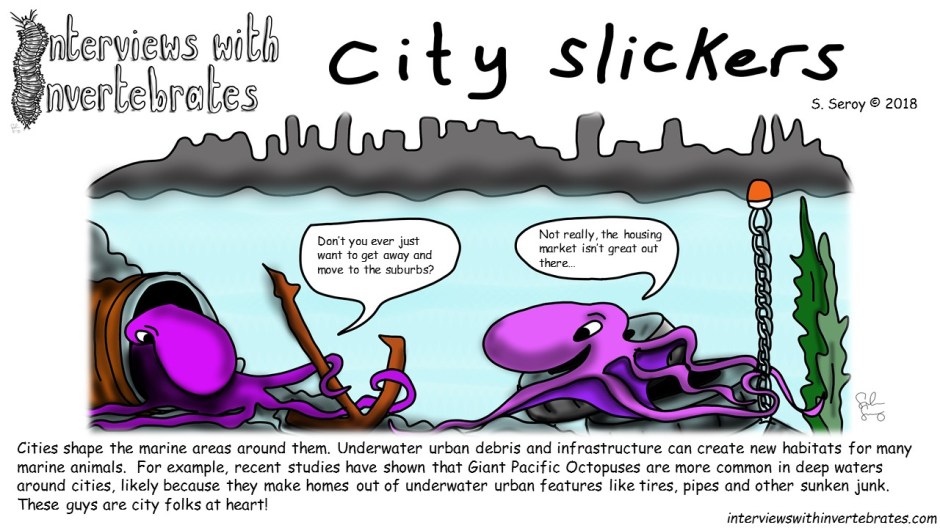 city_slickers