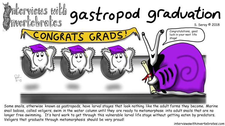 gastro_graduation
