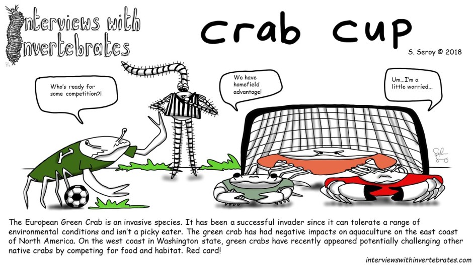crab_cup.jpg