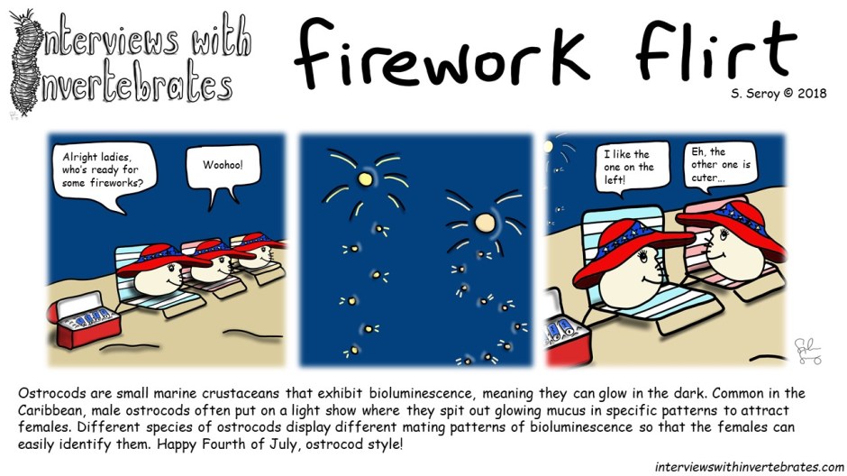 firework_flirt3
