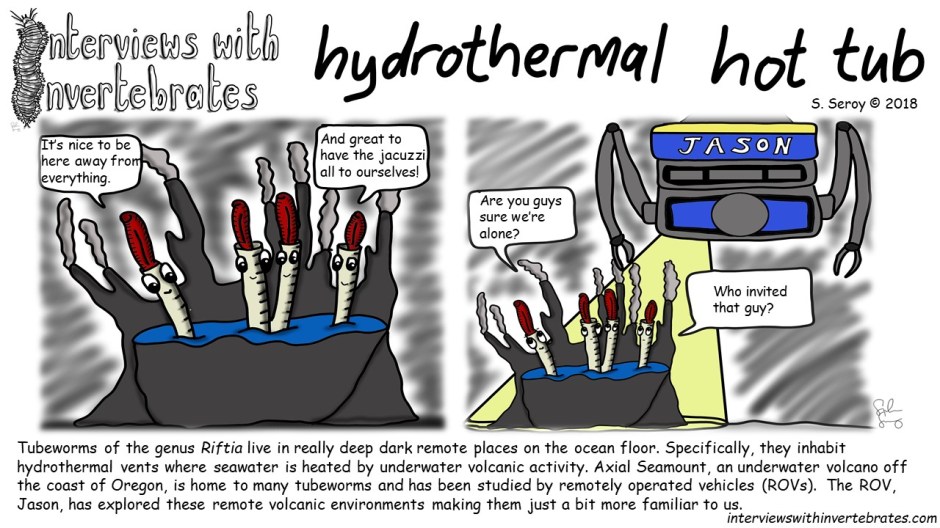 hydrothermal_hot_tub3