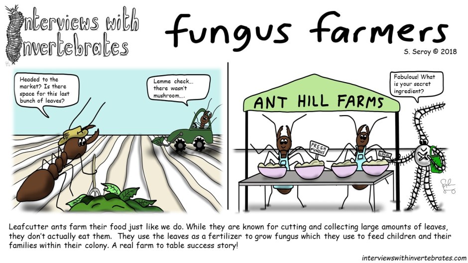fungus_farmers