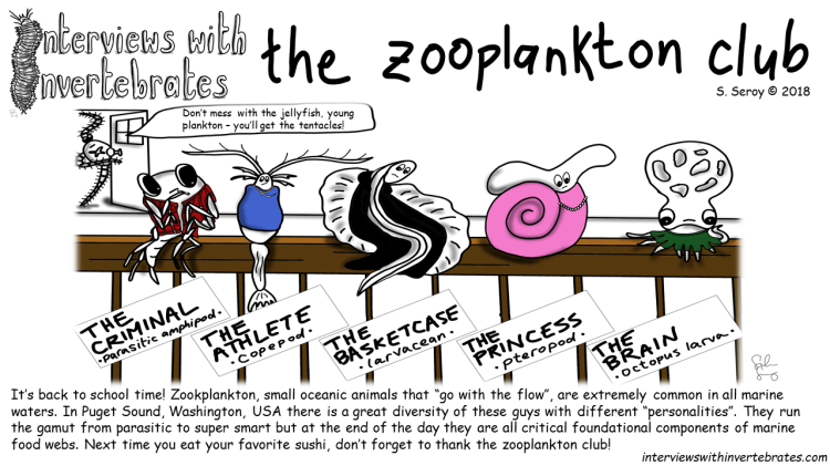 the zooplankton club