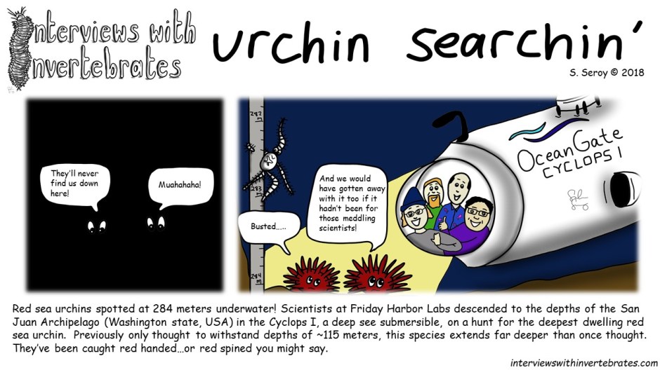 urchin_searchin