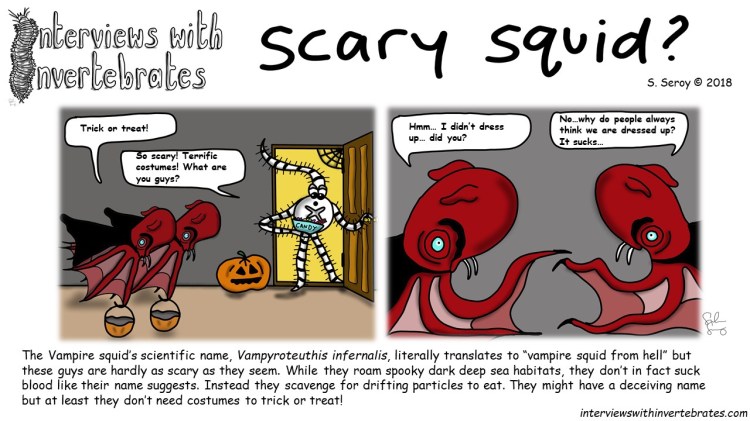 scary_squid