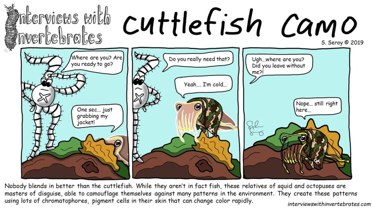 cuttlefish_camo
