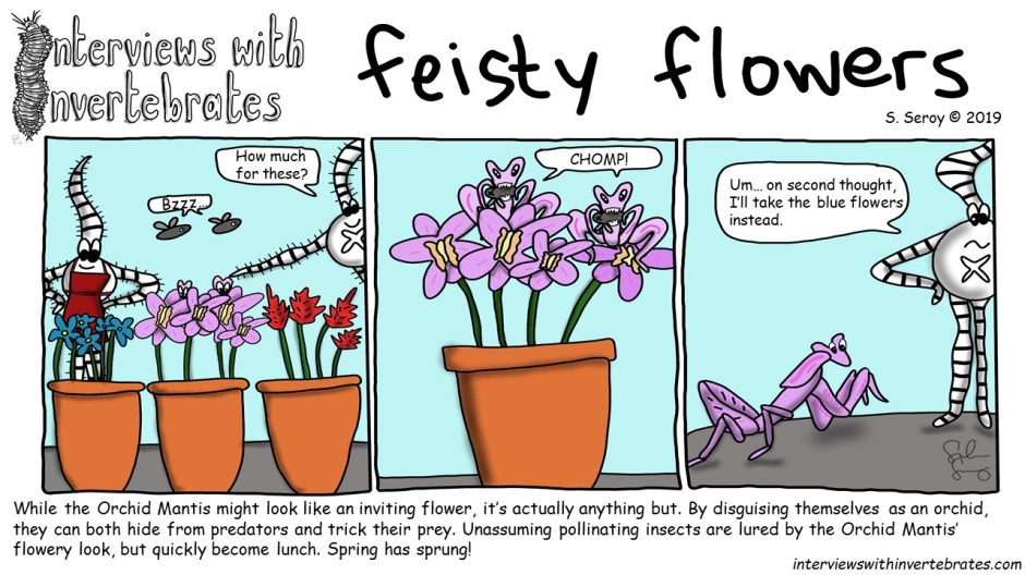 feisty_flowers.jpg