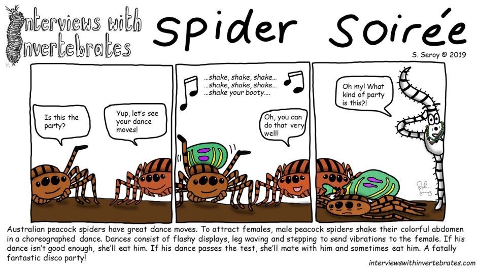 spider_soiree