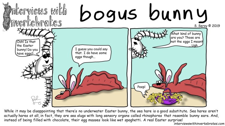 bogus_bunny