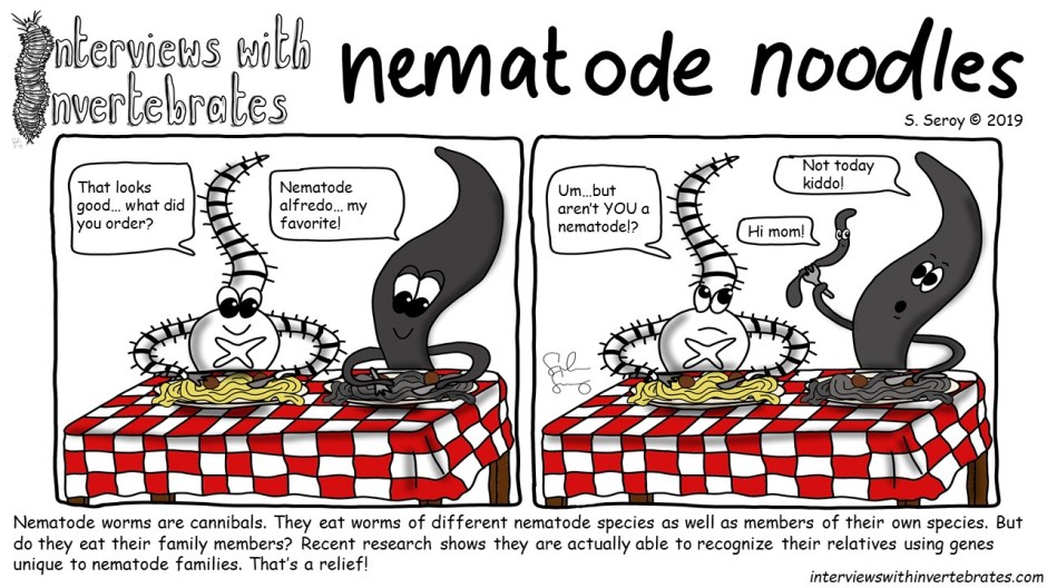 nematode noodles.jpg