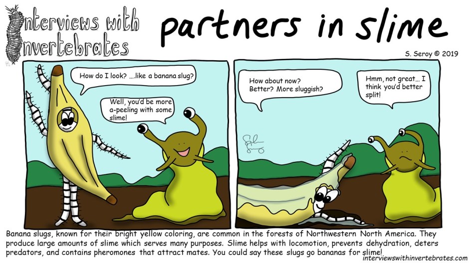 partners_in_slime