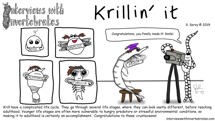 krillin_it