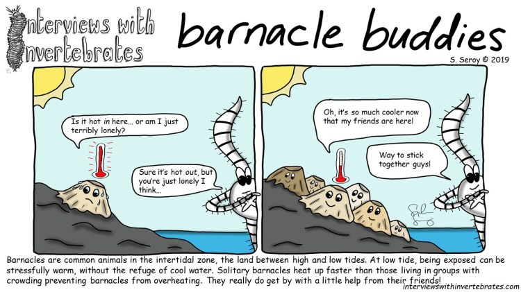 barnacle buddies final