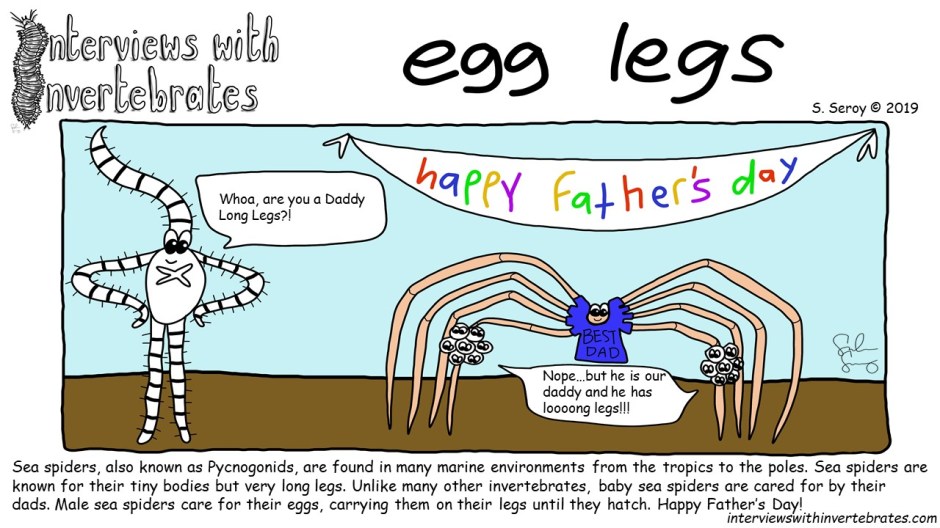 egg legs