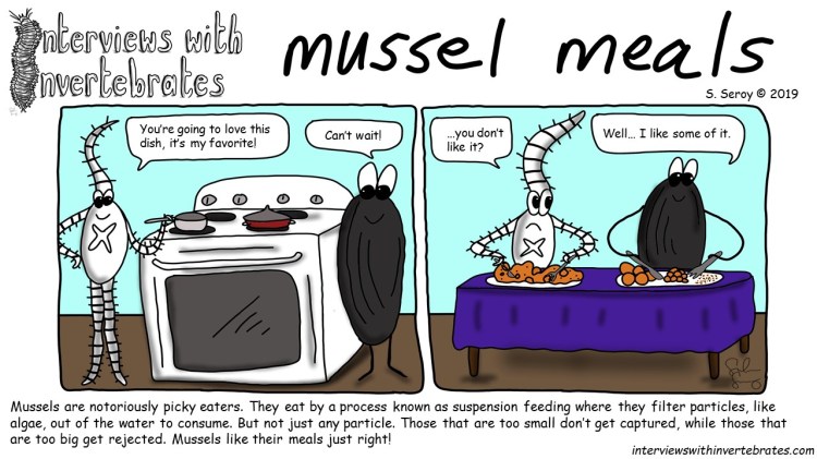 mussel_meals