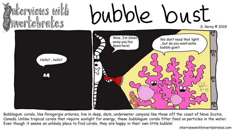 bubble_bust