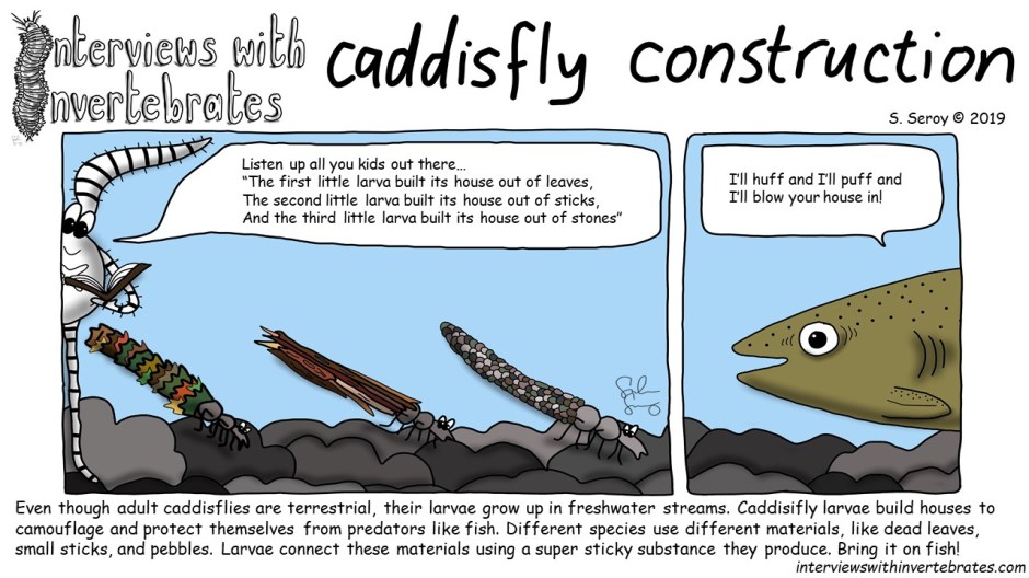 caddisfly_construction
