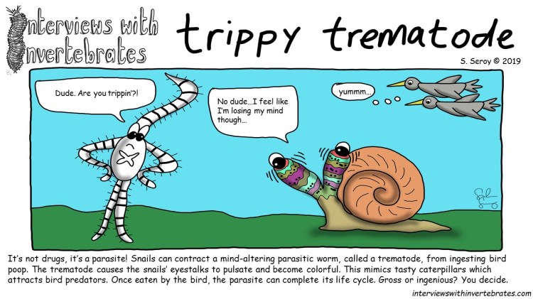trippy_trematode