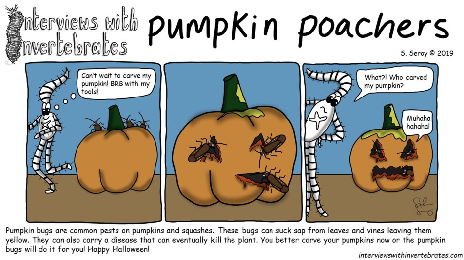 pumpkin_poachers