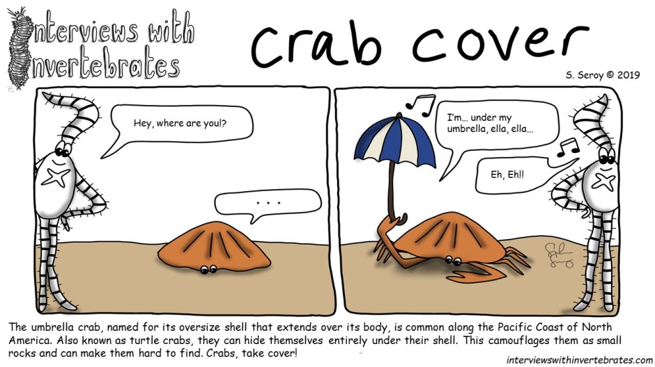 crab_cover.jpg