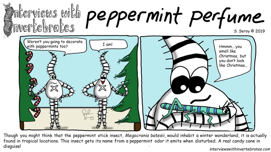 peppermint_perfume