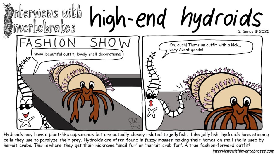 high-end_hydroid.jpg
