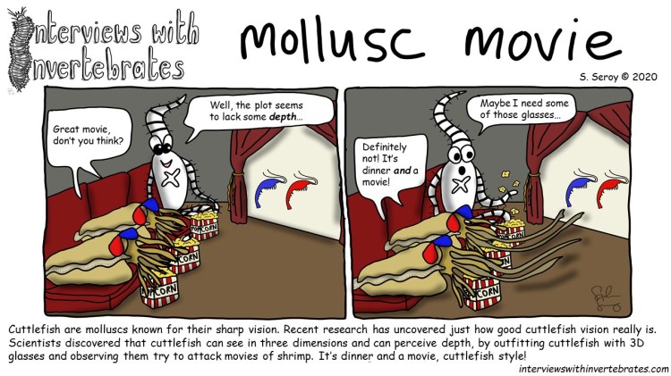 mollusc_movie