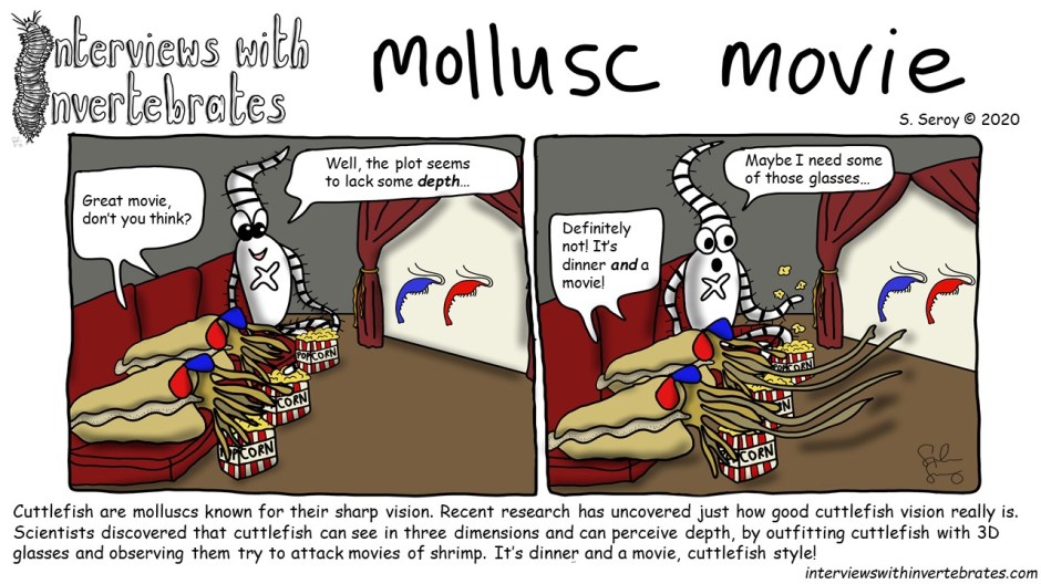 mollusc_movie